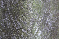 Ormesby St Michael fibreglass roof work